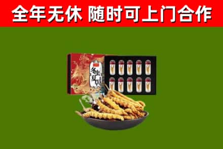 河源回收冬虫夏草价格