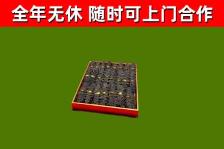 河源回收海参